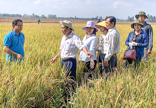 Sản lượng nông nghiệp Cần Thơ vượt kỳ vọng năm 2024