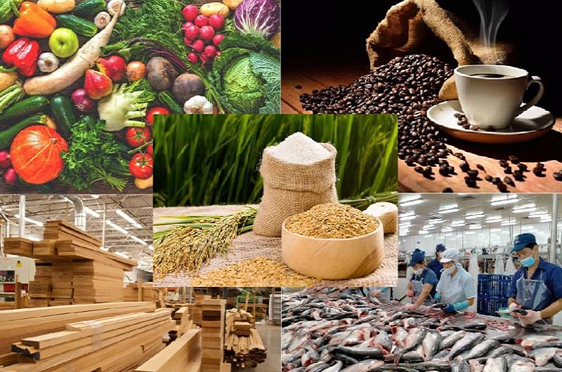 Sản xuất nông, lâm nghiệp và thủy sản (Báo cáo tình hình kinh tế – xã hội Quý II và 6 tháng đầu năm 2024)